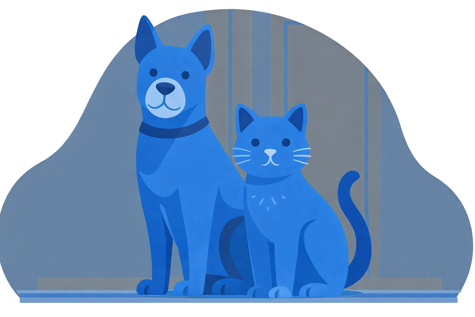 dog and cat for pet insurance